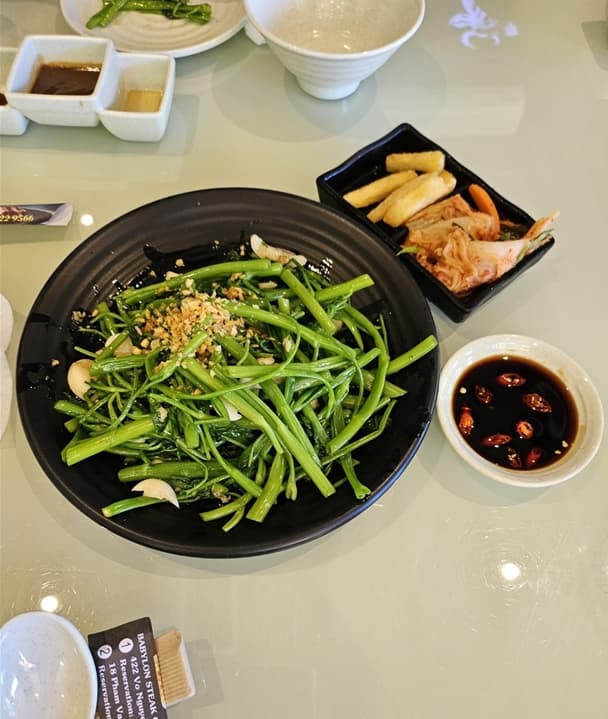 모닝글로리