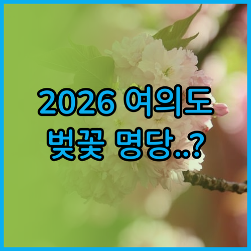 2026년 여의도 벚꽃 나들이 요약 ..
