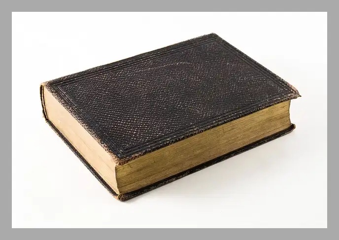 한강 채식주의자