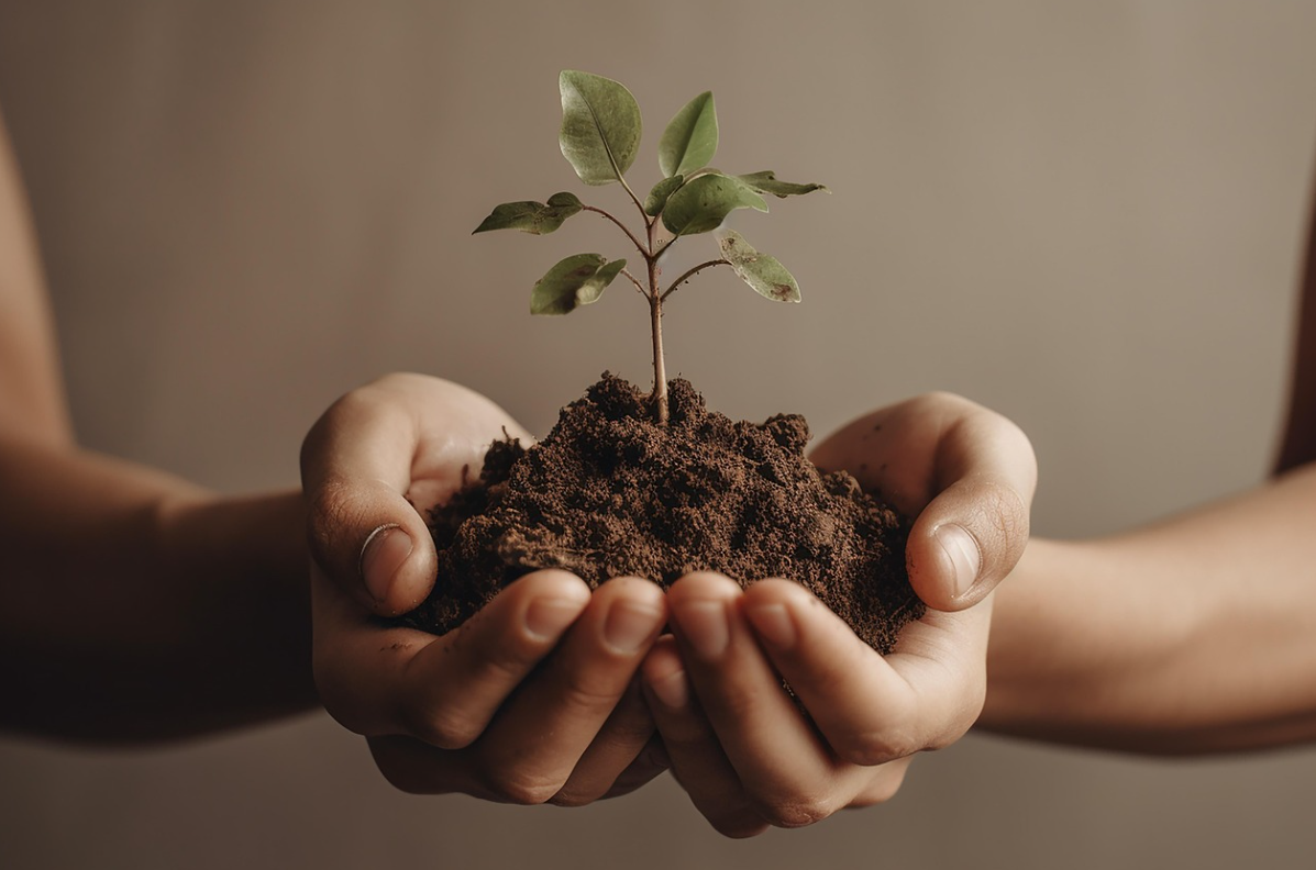 갑상선암 완치율과 예후: 암 진단 후 희망을 갖는 법
