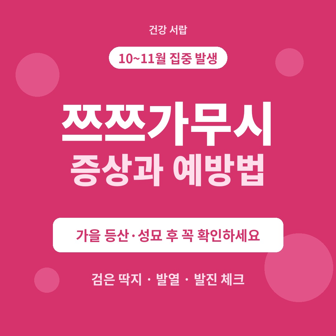 쯔쯔가무시 증상과 예방법