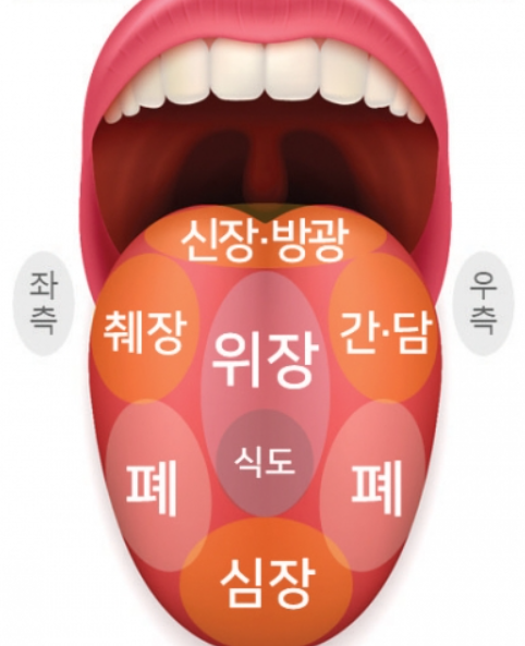 혀 백태, 건강과 소화 기관