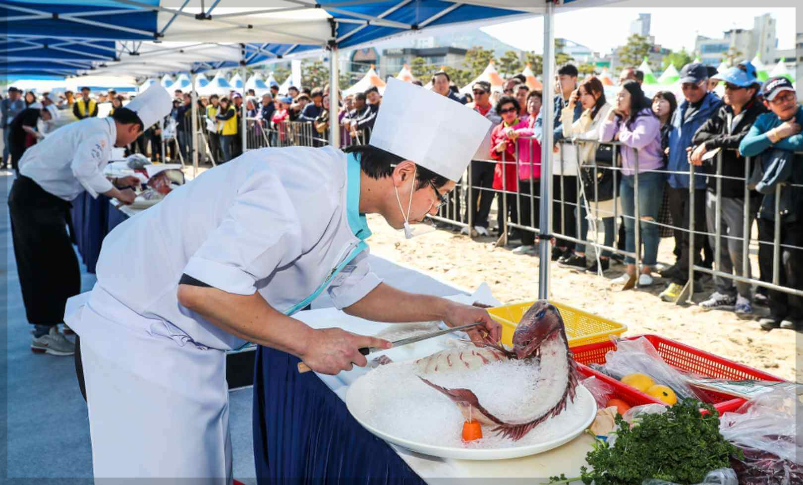 광안리어방축제 무료주차장 위치 일정과 셔틀버스 안내 