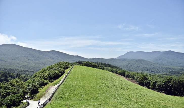 강원도 대관령 양떼목장길