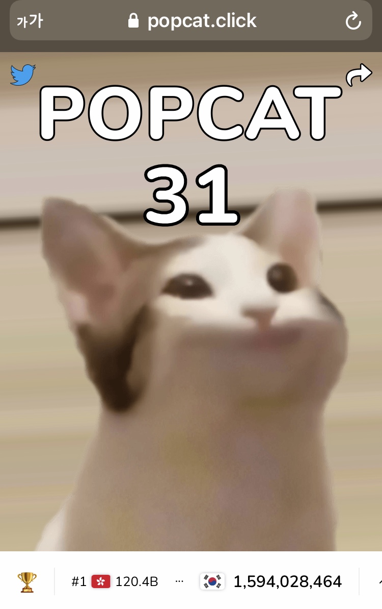 팝캣