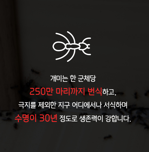 세스코 가정집 비용 아파트,원룸,투룸 가격 (셀프진단)