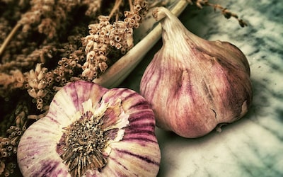 Understanding Food Allergies and Intolerances