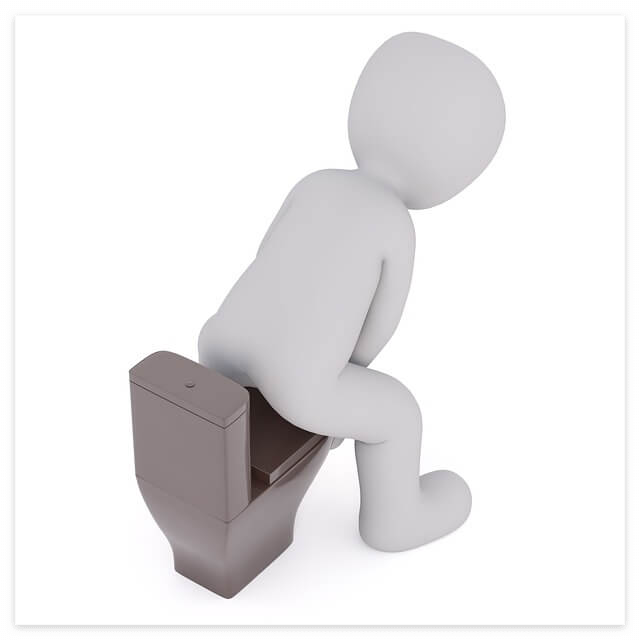 변기위에 앉아있는 이미지