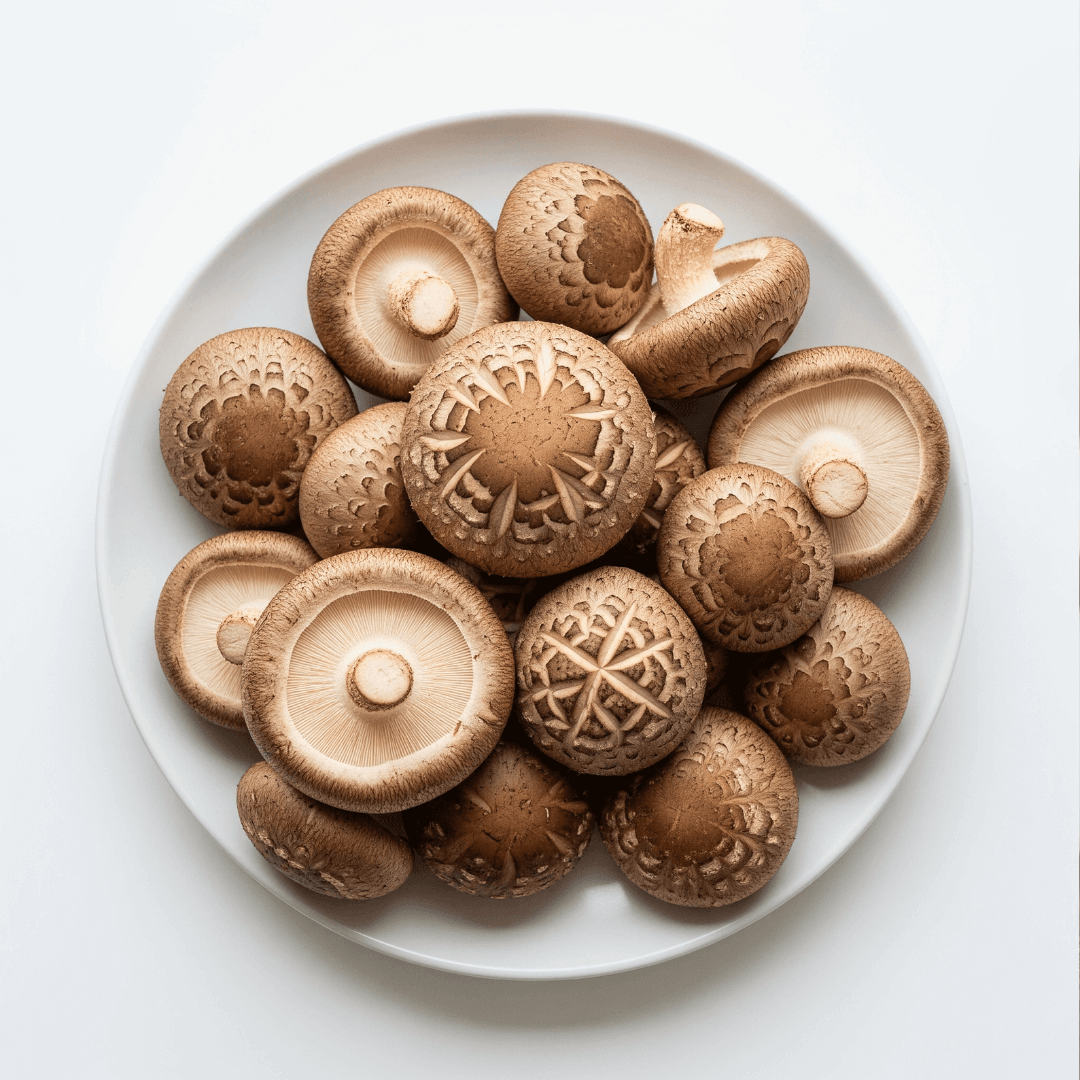 표고버섯 효능 부작용