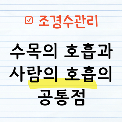 수목의 호흡과 사람의 호흡의 공통점