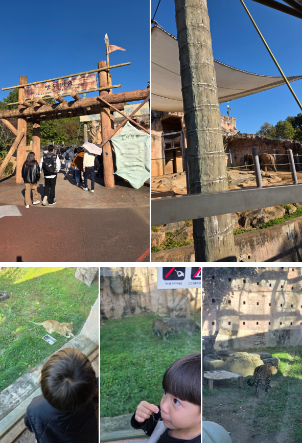 서울어린이대공원 동물원 가을 나들이 (무료입장/관람 코스)