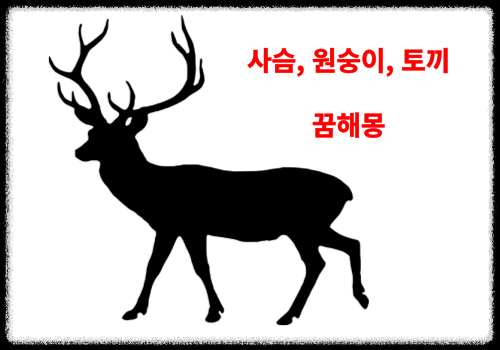 꿈에서 사슴, 원숭이, 토끼, 다람쥐가 나온 꿈 해몽 ( 무료 꿈 해몽 vest )
