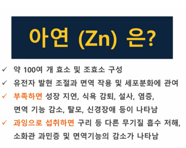아연2 