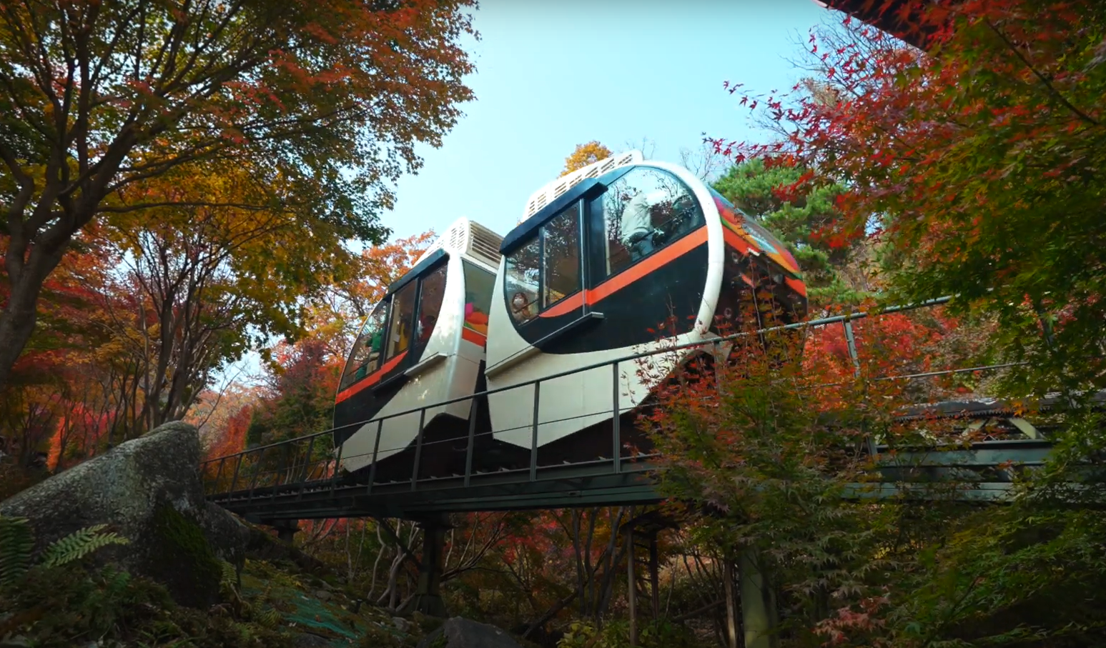 4. 모노레일 타고 즐기는 단풍 뷰