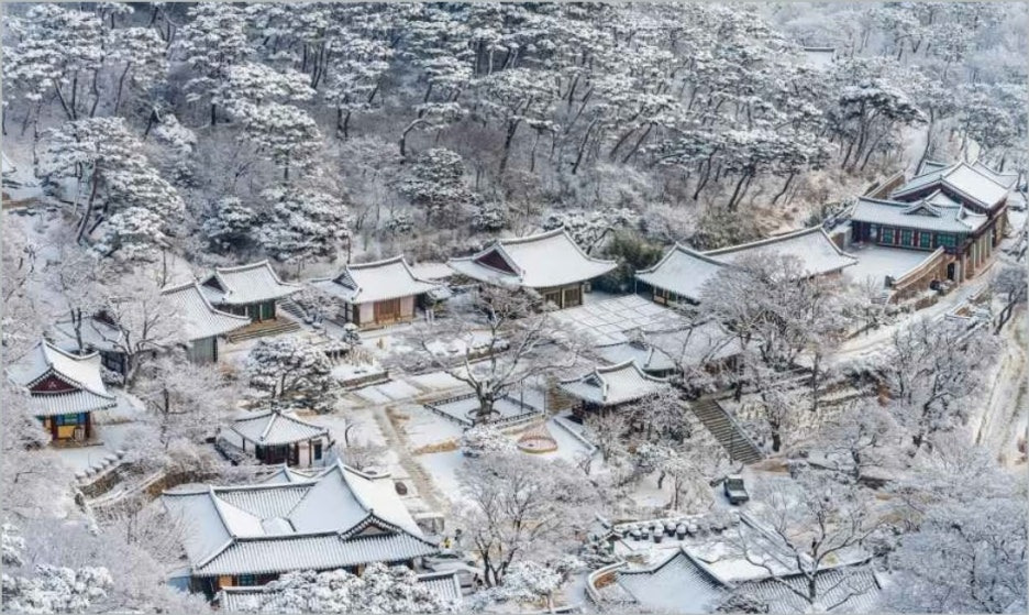 겨울 산사 템플스테이 명소, 고요 속 나를 찾는 사색 여행! 강화전등사
