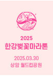 2025 한강 벚꽃 마라톤 대회와 한강 벚꽃 명소 꿀팁까지