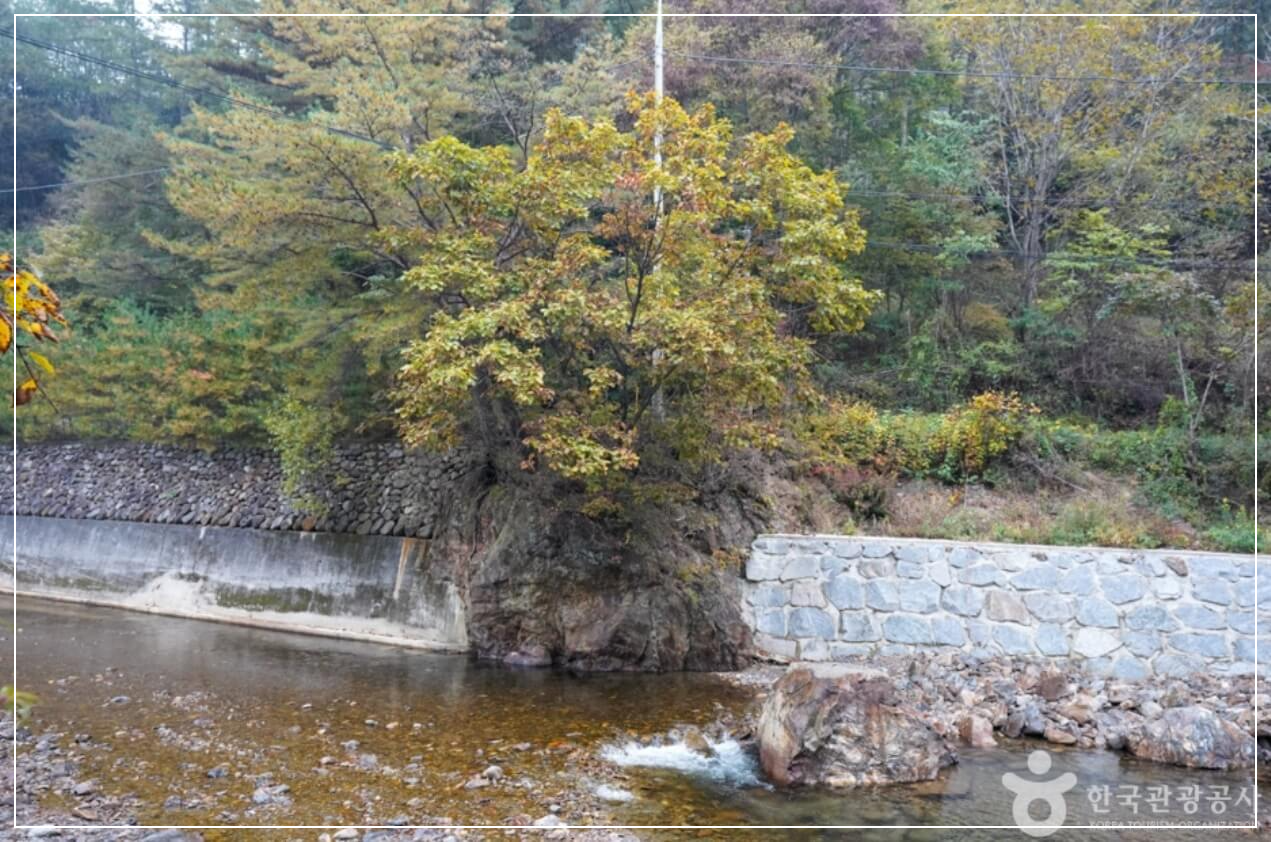 봉화 가볼만한곳 베스트10 고선계곡