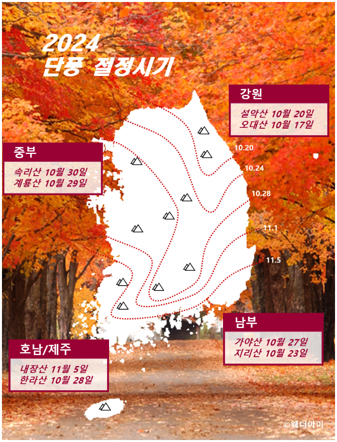 웨더아이단풍절정시기