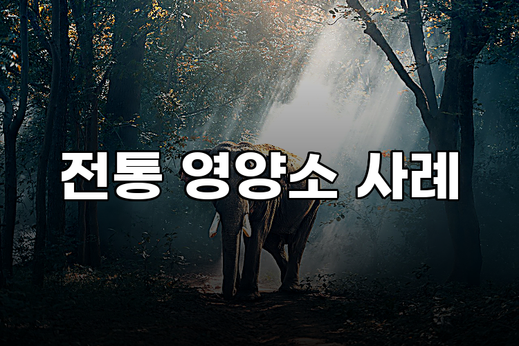 전통 영양소 사례