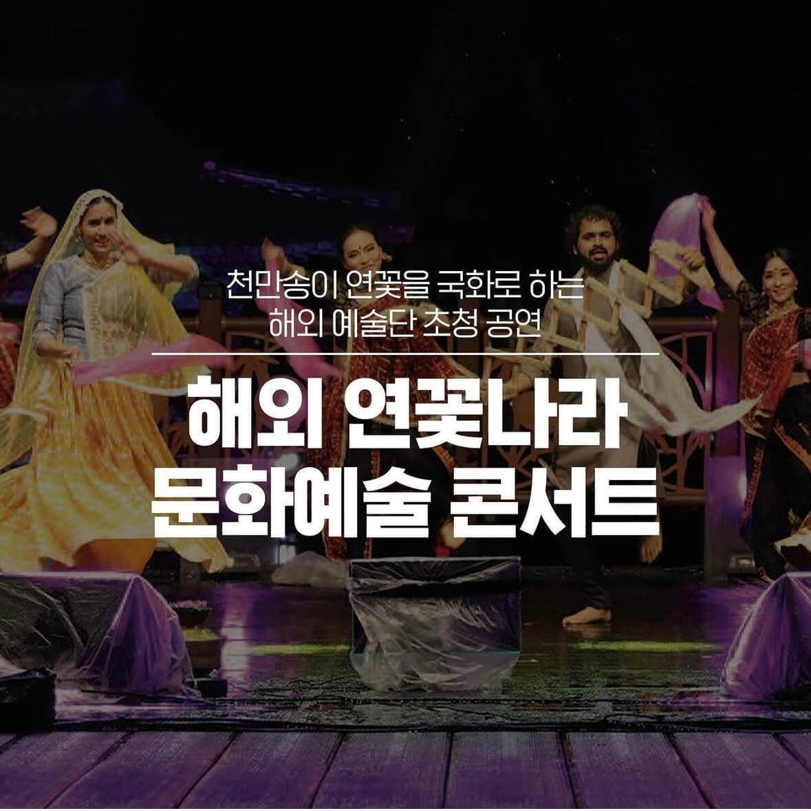 부여 궁남지 연꽃축제