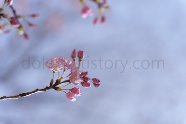 나이별 생신 한자