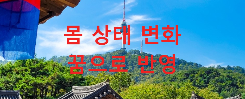 꿈과건강