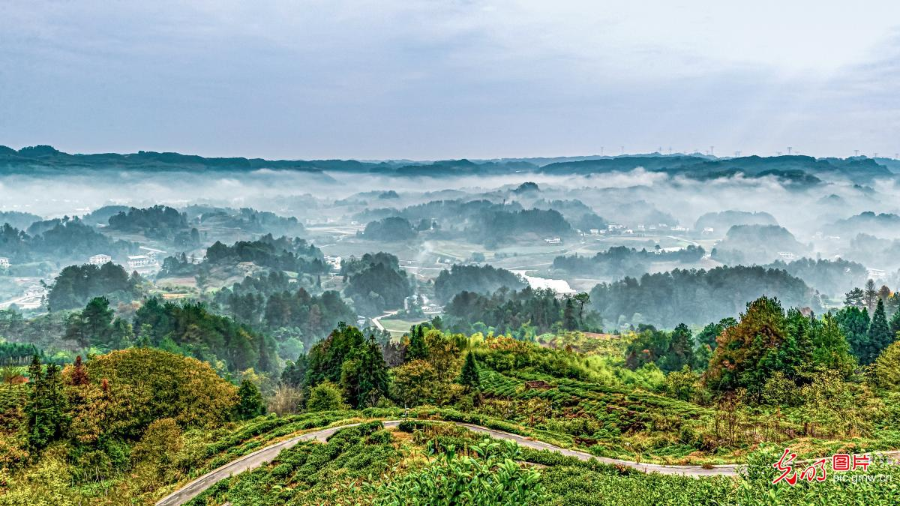 충칭 근교 여행지 추천
