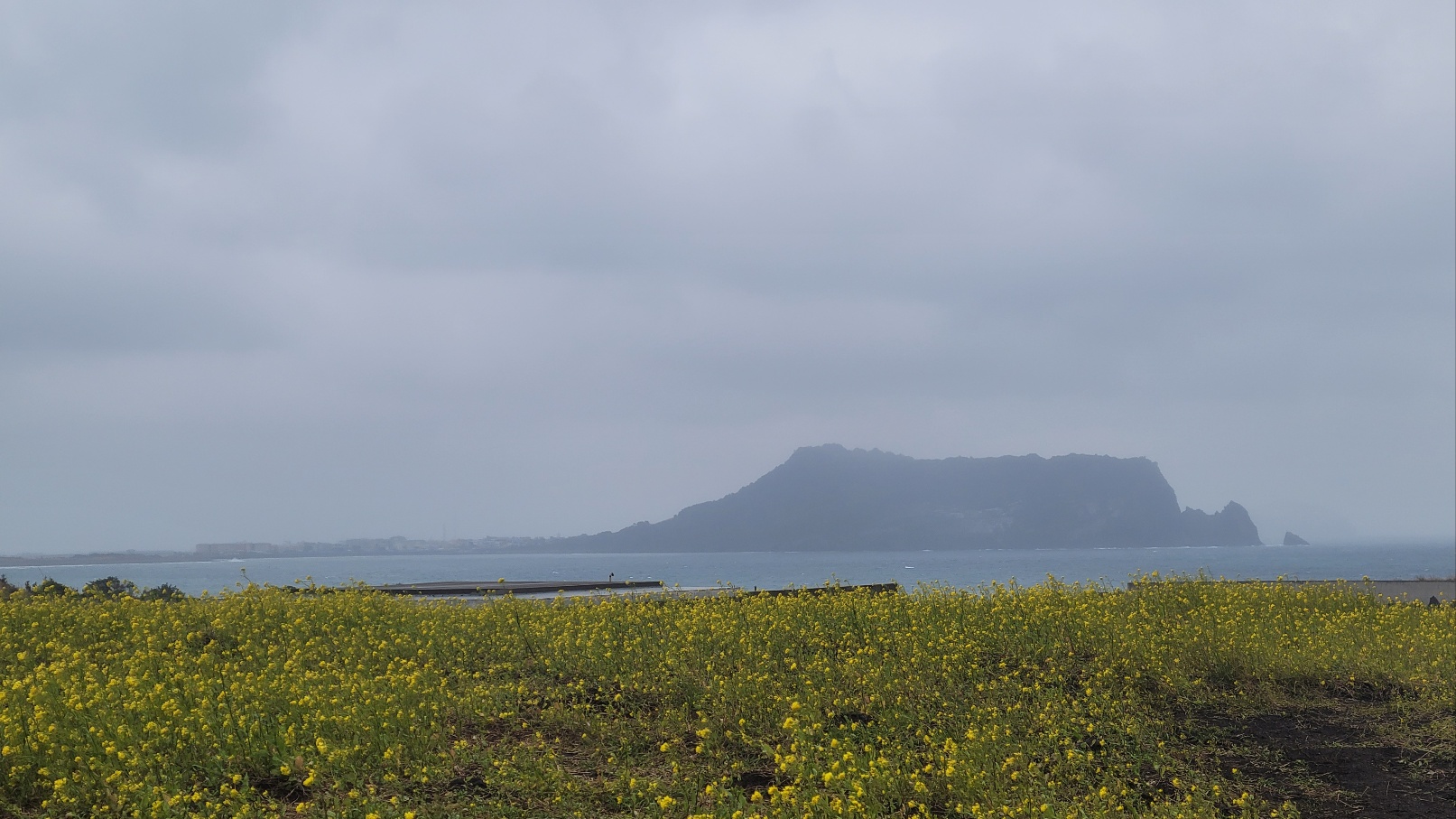 섭지코지에서 바라보는 성산일출봉 이미지