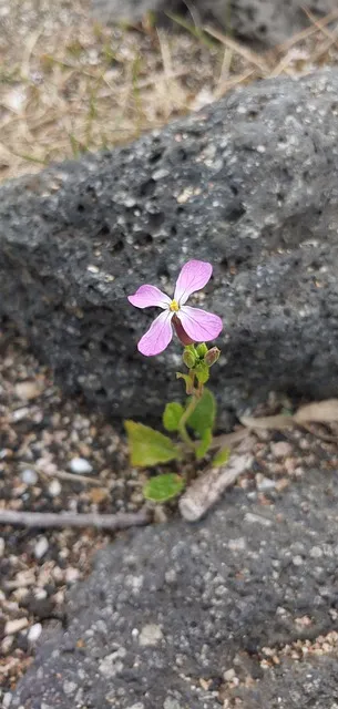 제주공항근처가볼만한곳 제주공항 근처 가볼만한곳 가족과 가기 좋은 리스트 완벽 가이드_6