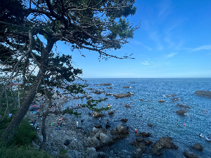 경주 가볼만한 곳 송대말등대