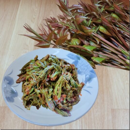 옻나무 순의 효능과 섭취 방법, 부작용 알아보기