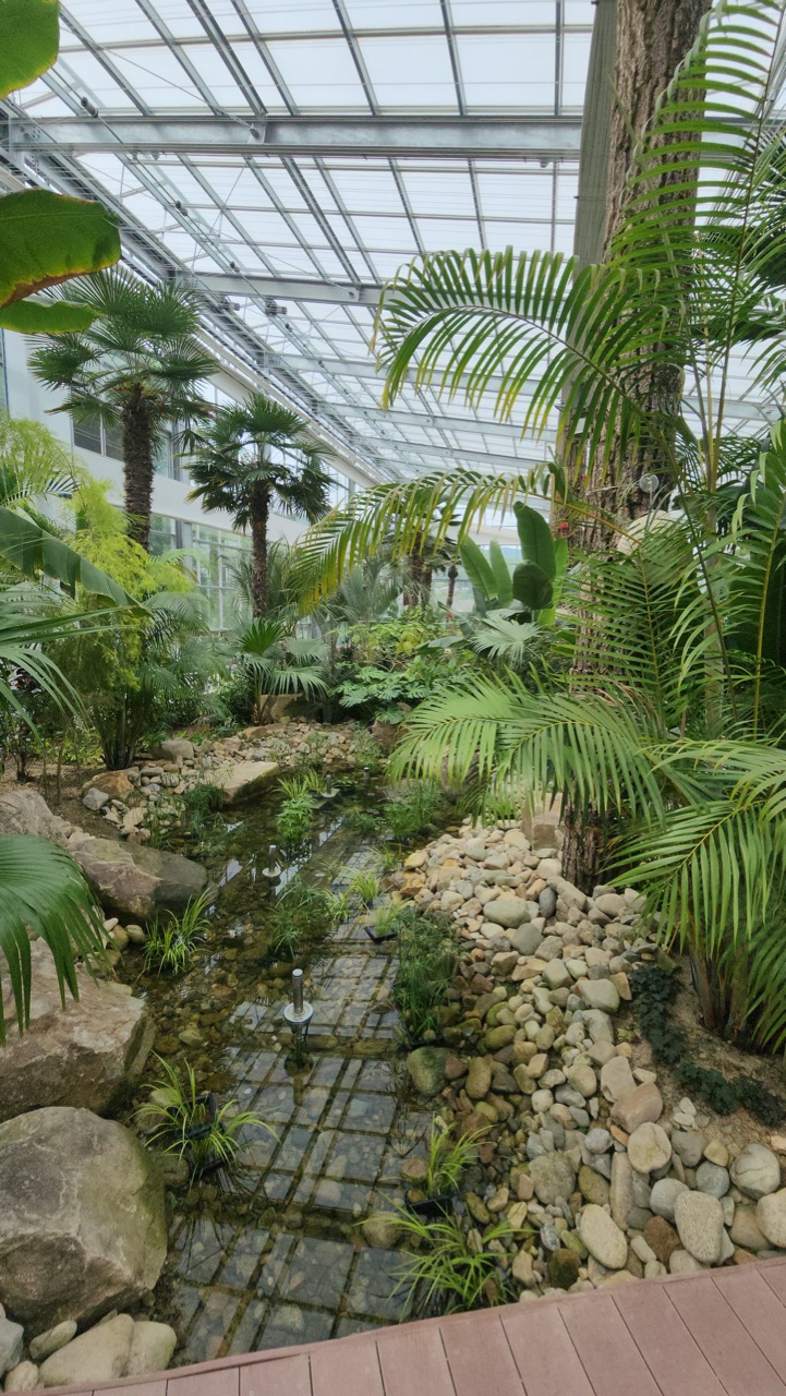 베툴라 카페 방문후기 이미지