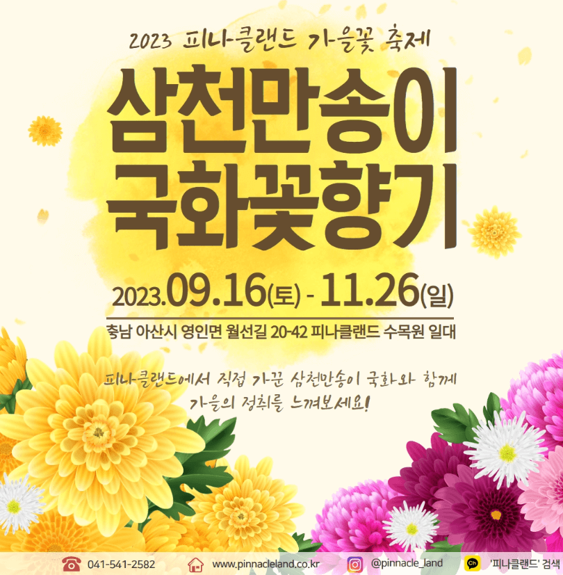 피나클랜드 삼천만송이 국화축제