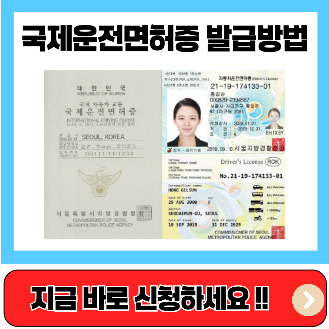 국제운전면허증 발급 방법