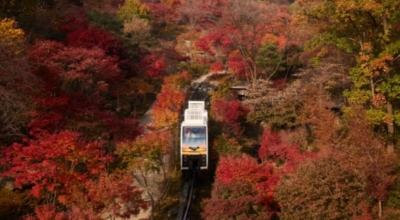 경기도가볼만한곳이미지