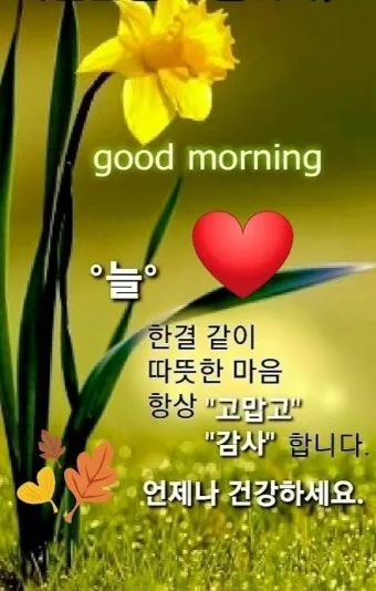 장마철 인사말 모음 예시 멘트_8