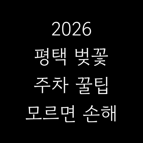 2026년 평택 벚꽃 개화 시기 명소..