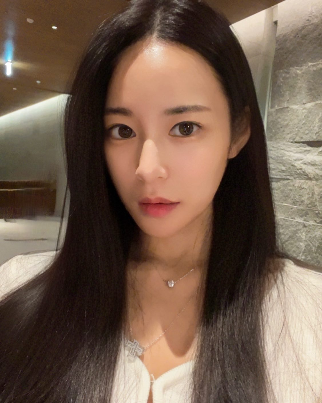 피티니스 모델 이송이