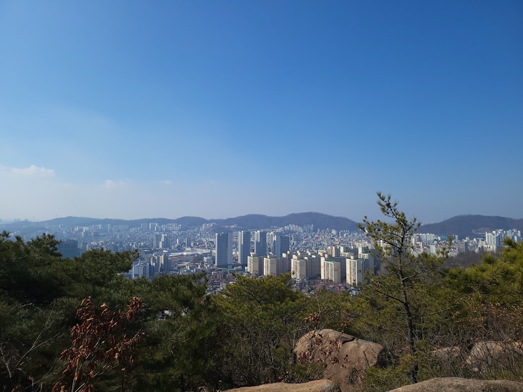 Gyeongsangbuk-do