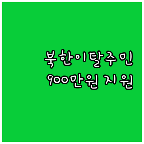 2025 북한이탈주민 사업자금 900..