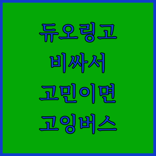 듀오링고, 비싸서 고민? 고잉버스가 