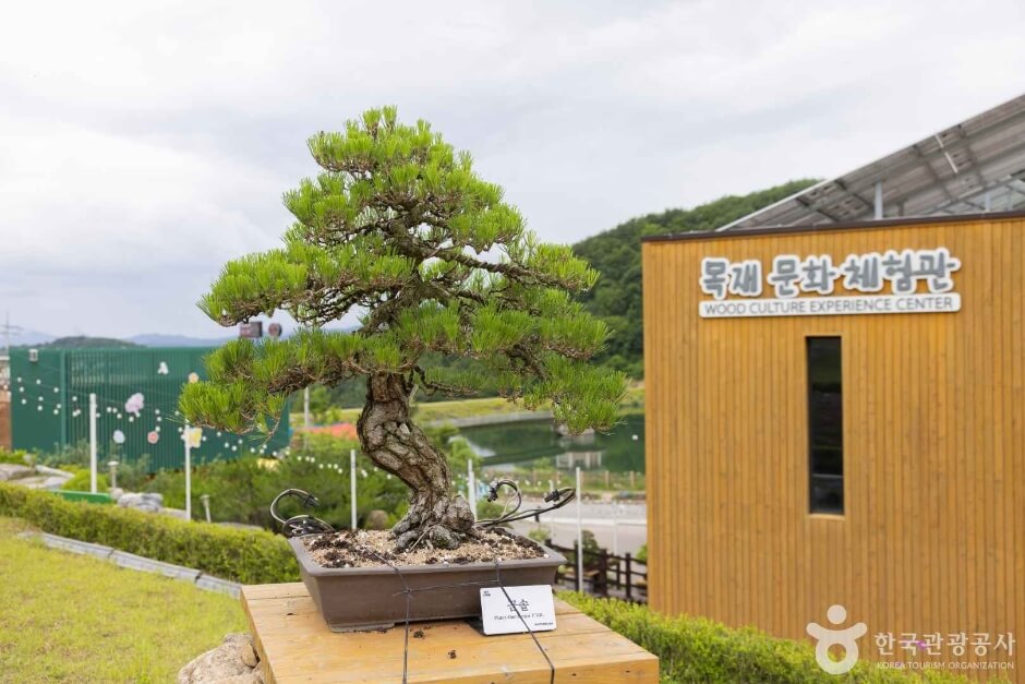 양구 가볼만한곳 베스트 10