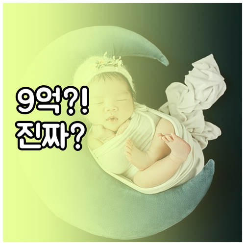 신생아 특례대출 주택 가격 9억 이하..