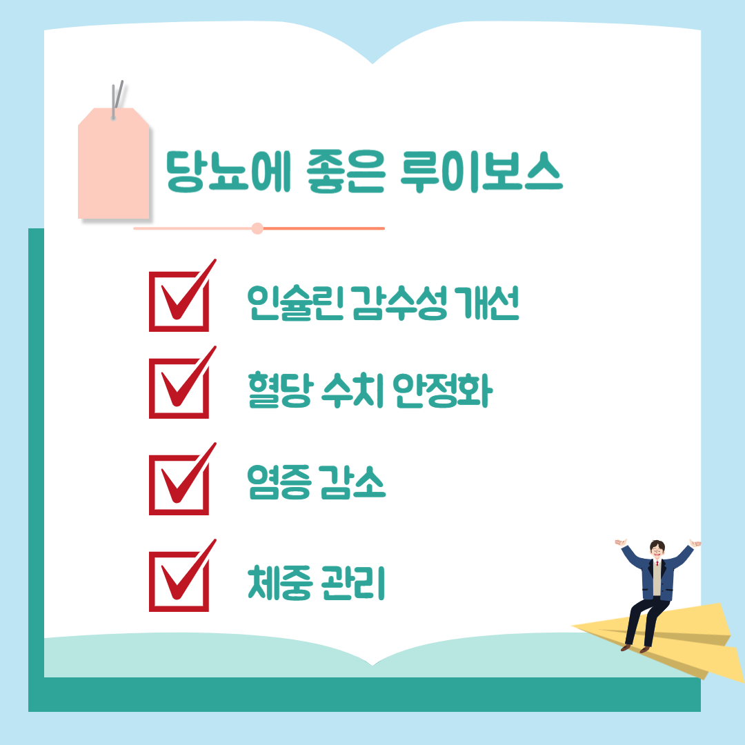 당뇨에 도움되는 루이보스차