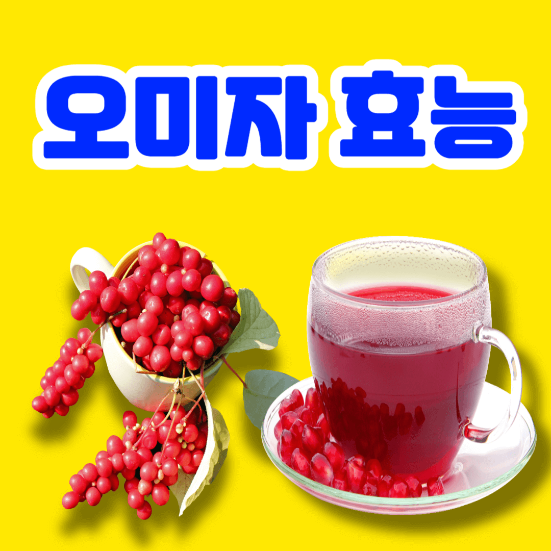 오미자 효능