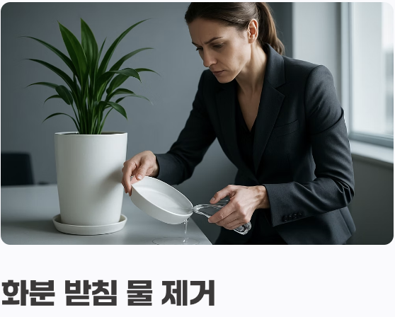 진짜 위험을 막는 예방법