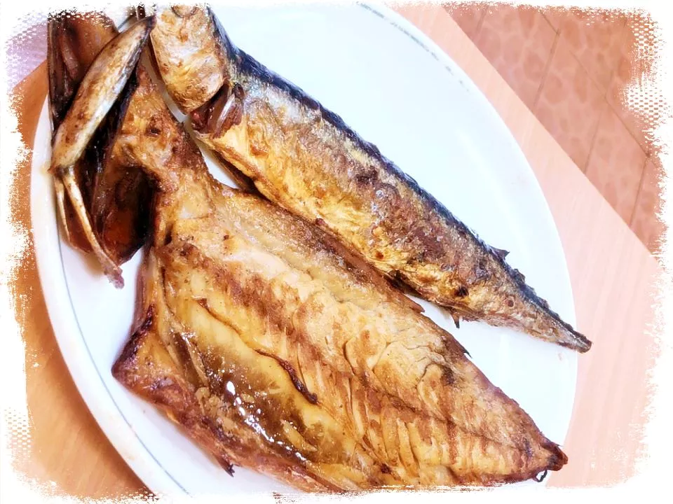 어서와-한국은-처음이지-제-225회-생선구이-서울-종로-생선구이골목-맛집-소개-04
