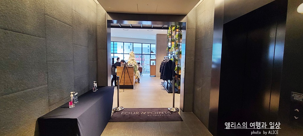 포포인츠 바이 쉐라톤 서울 명동 에볼루션 뷔페 런치 후기