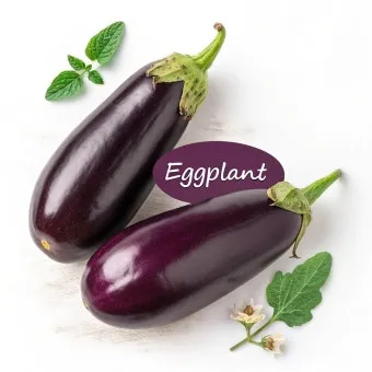 가지 효능 혈압 당뇨 관리 도움 정보_15