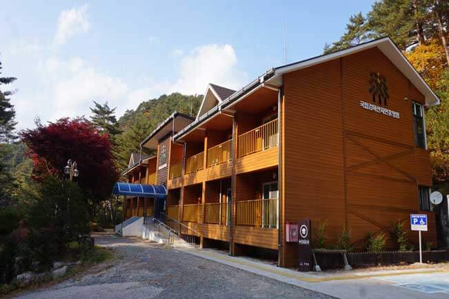 숲나들e 예약 방법부터 추천 캠핑장까지! 2025년 완전정리